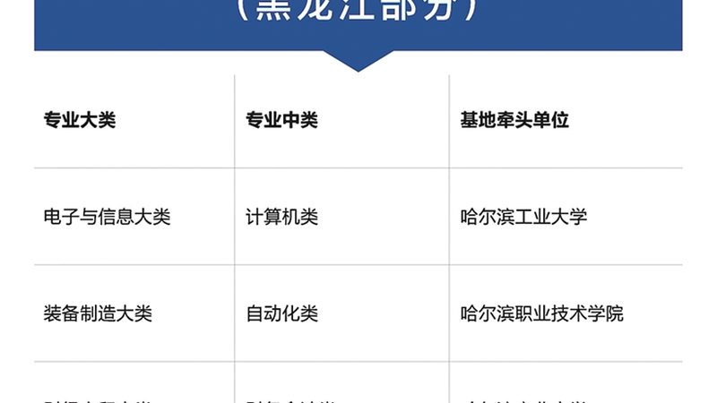 技能培训与学历教育：职场进阶的双轨并行之路
